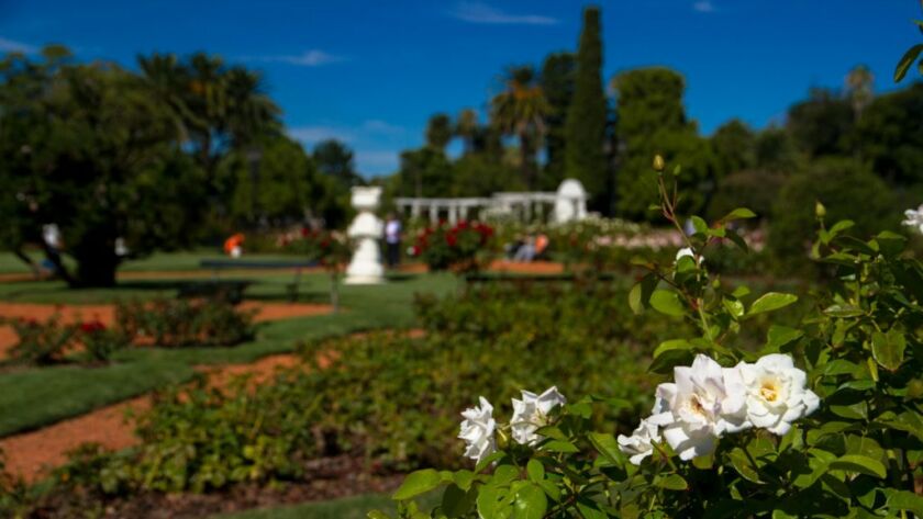 El Rosedal - Buenos Aires