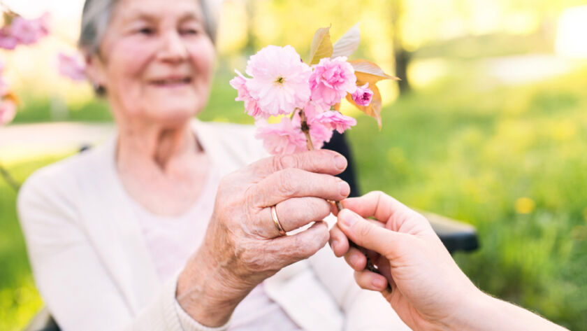 Benefícios das flores para idosos