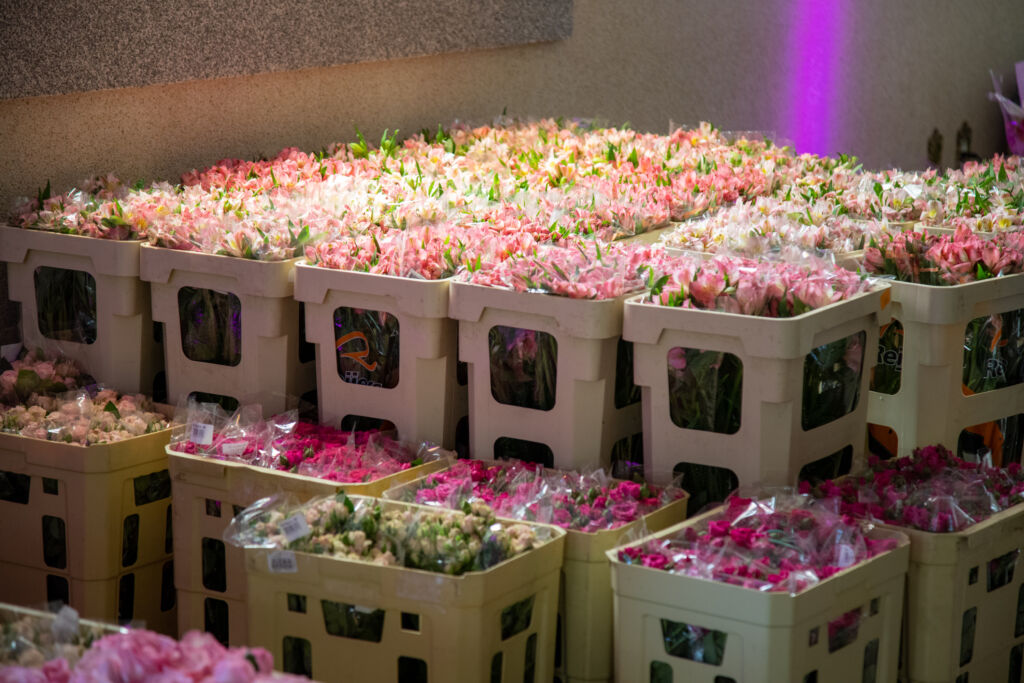 Festa infantil com flores rosa