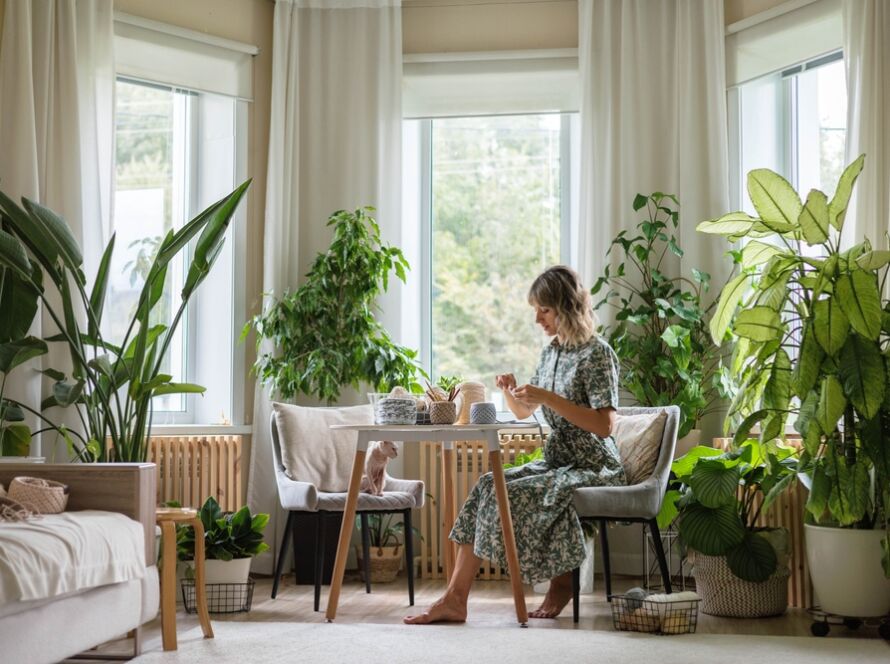 Semana de Plantas de Interior
