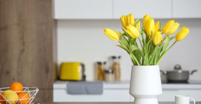 Tudo sobre Tulipas