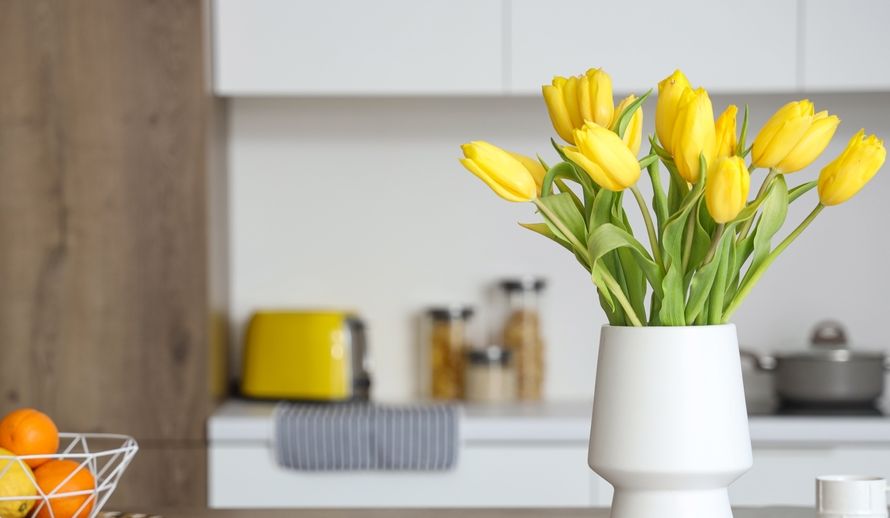 Tudo sobre Tulipas